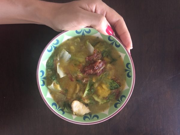 SOPA FIT
